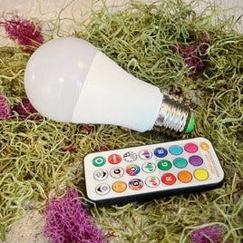 Color Changing Lightbulb