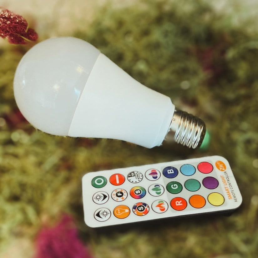 Color Changing Lightbulb