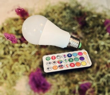 Color Changing Lightbulb