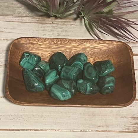 Extra Large Malachite Tumbled Stones