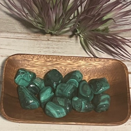 Extra Large Malachite Tumbled Stones