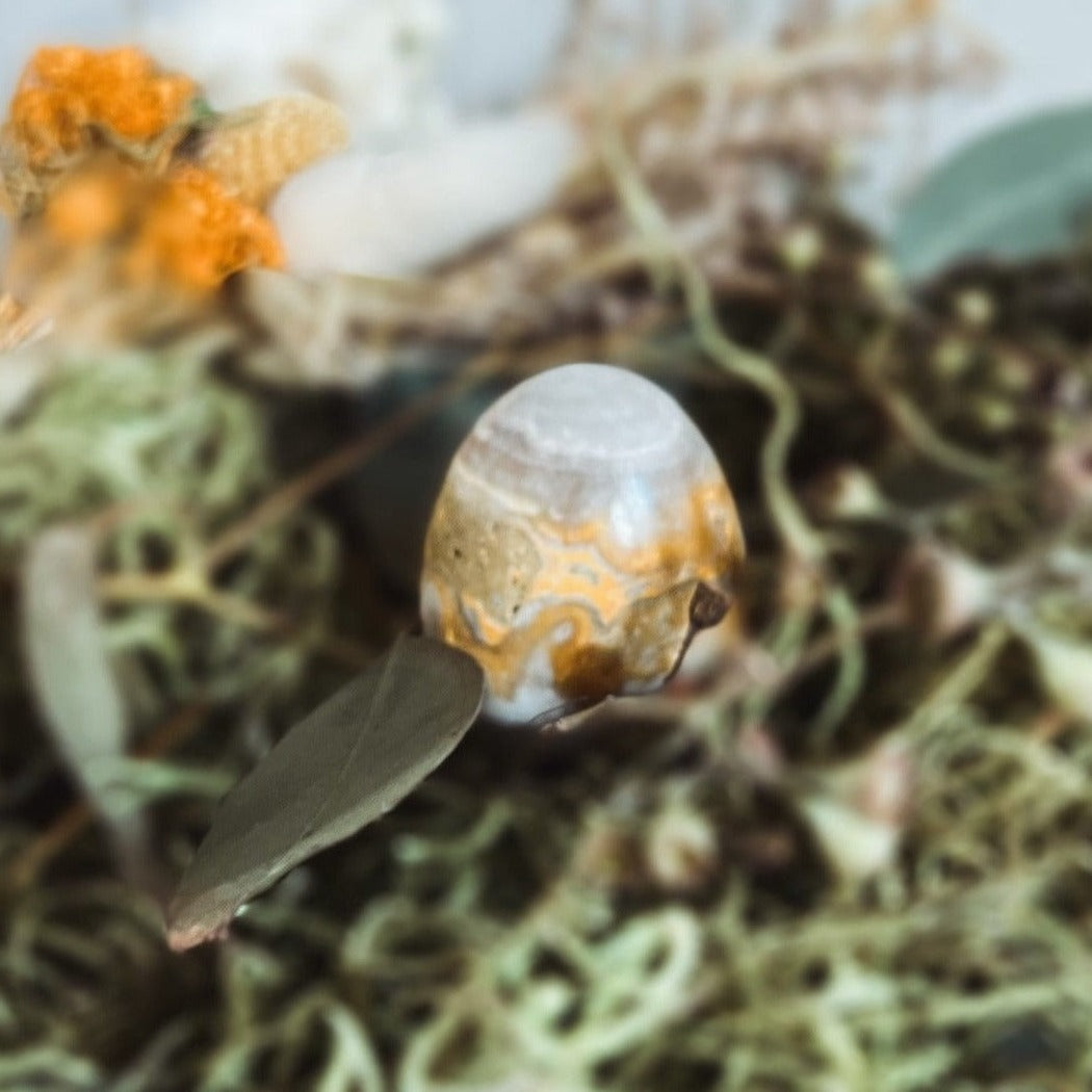 Bumblebee Jasper Egg