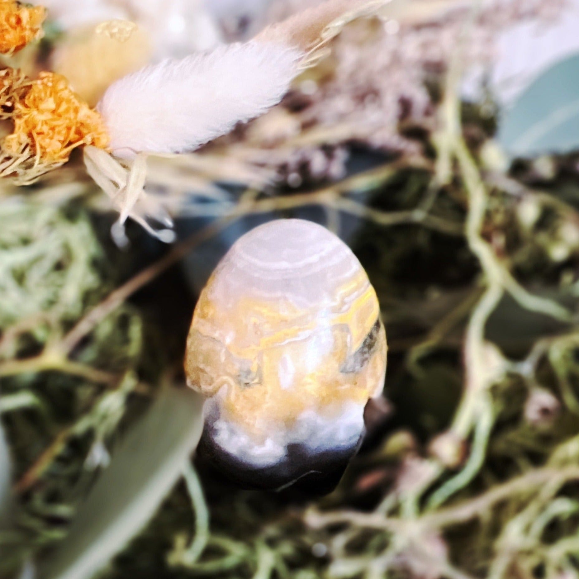 Bumblebee Jasper Egg