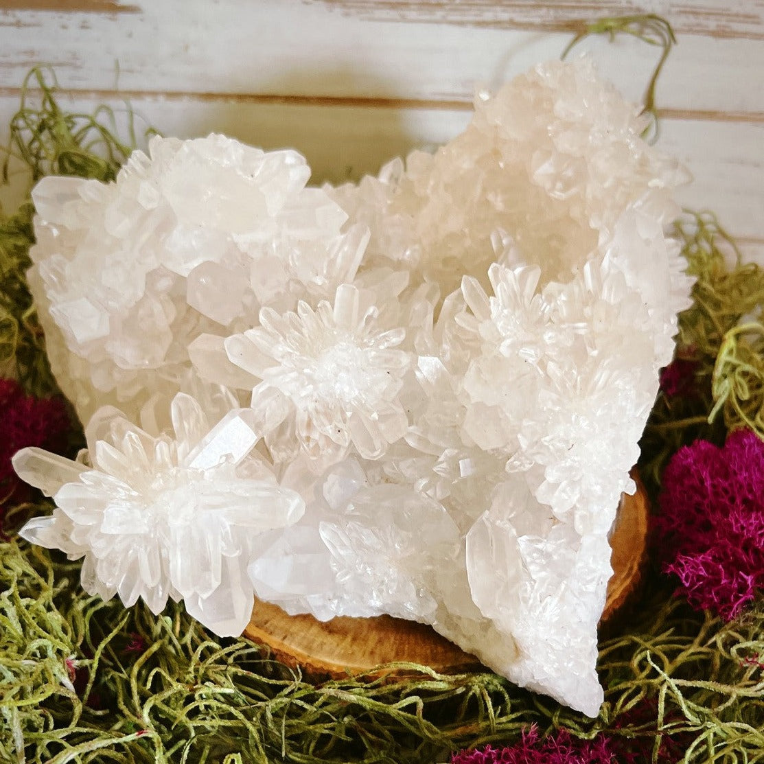 Chrysanthemum Quartz Cluster