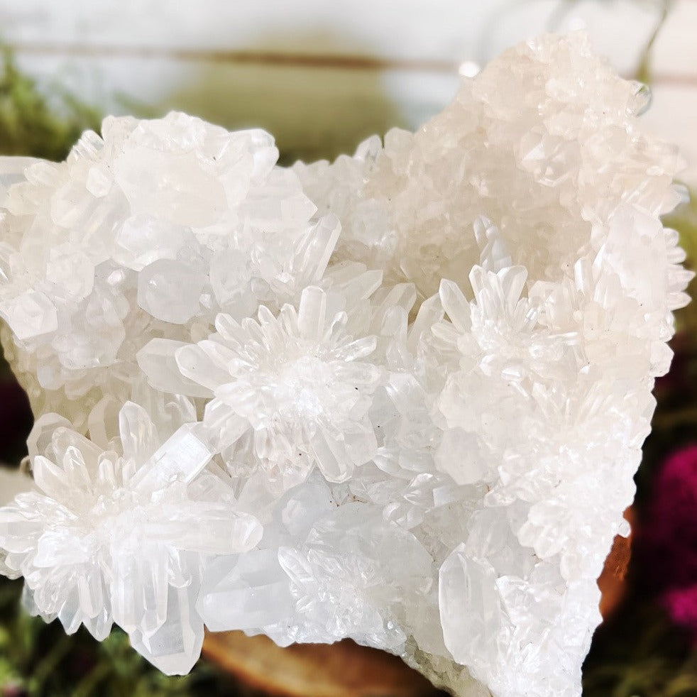 Chrysanthemum Quartz Cluster