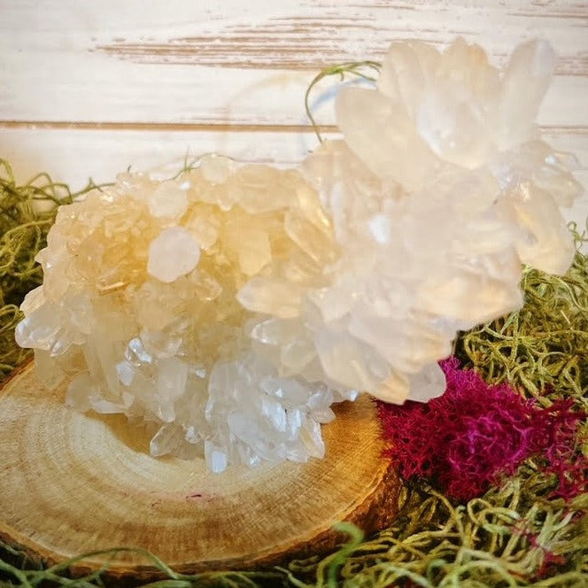 Chrysanthemum Quartz Cluster