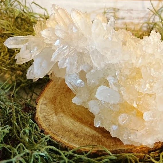 Chrysanthemum Quartz Cluster