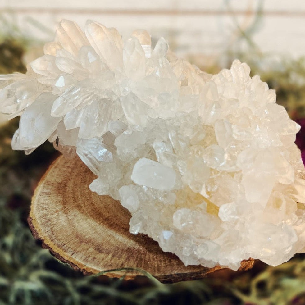 Chrysanthemum Quartz Cluster