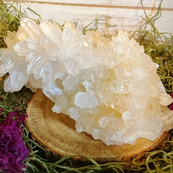 Chrysanthemum Quartz Cluster