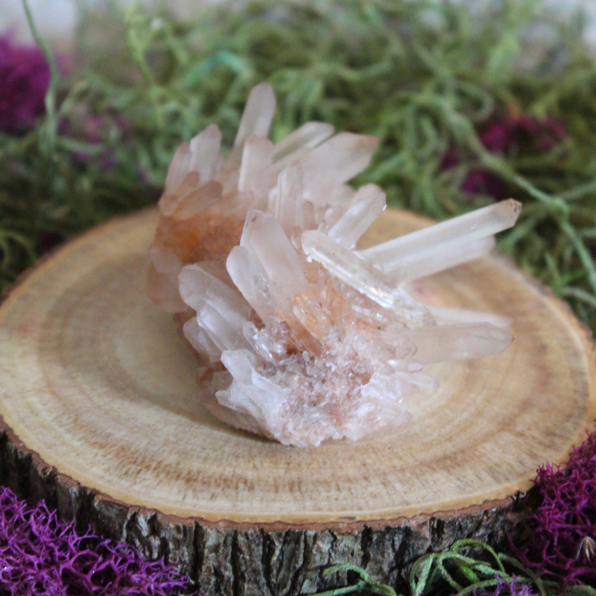 Needle Point Quartz Cluster