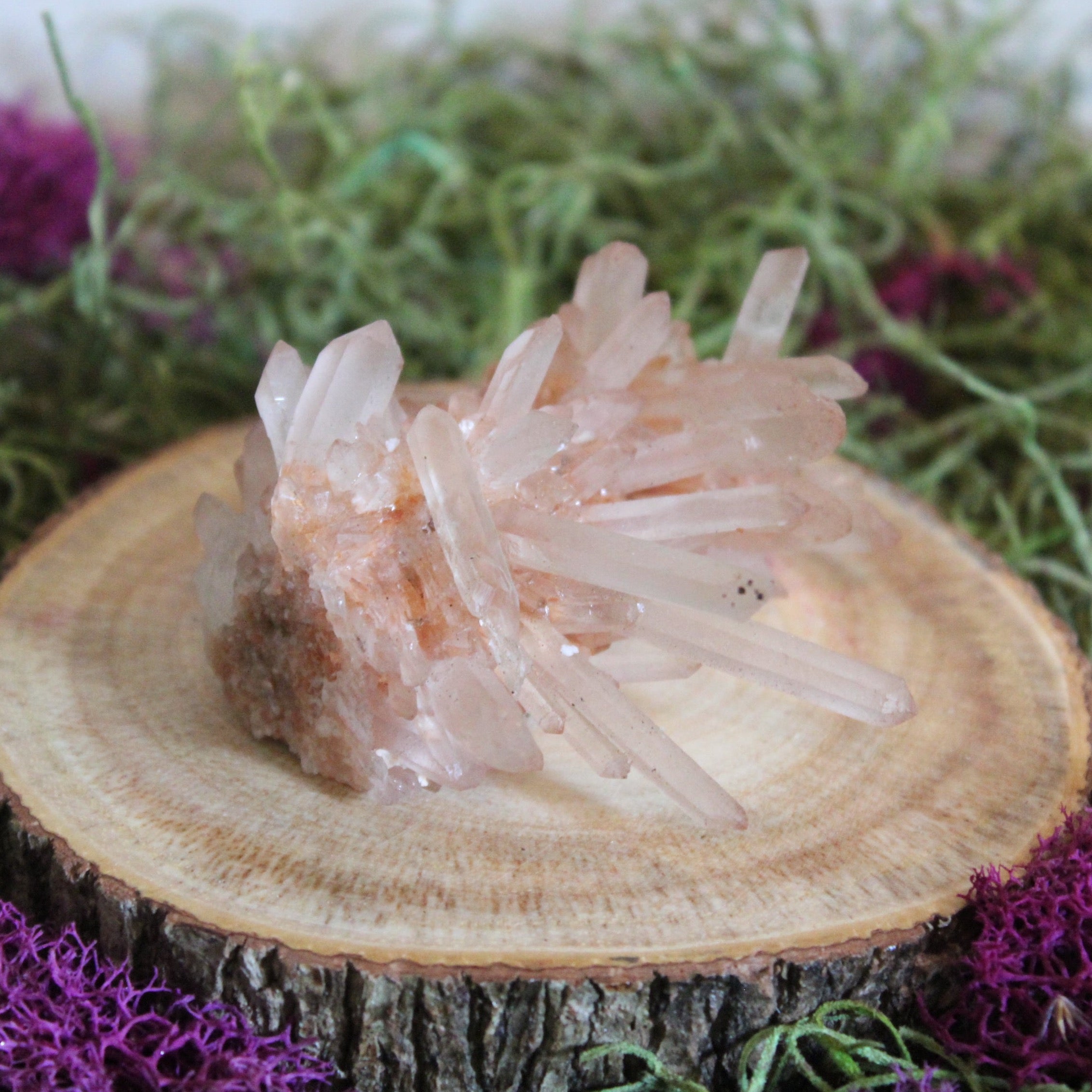 Needle Point Quartz Cluster