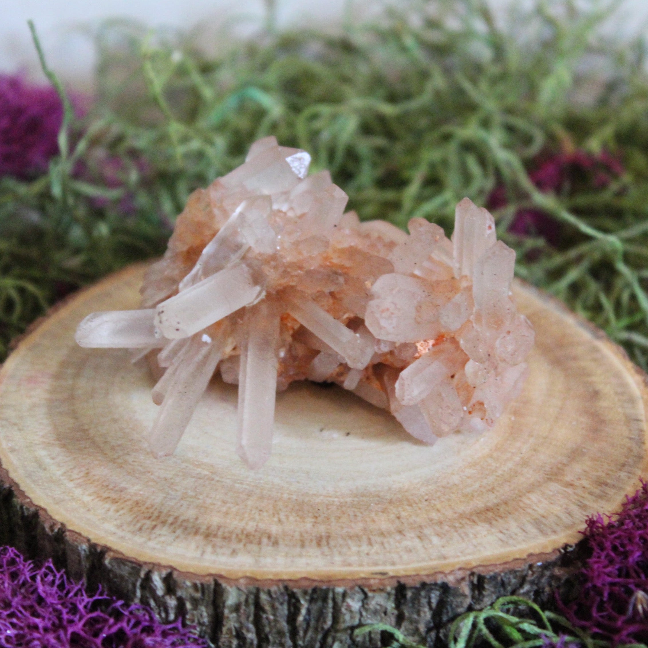 Needle Point Quartz Cluster