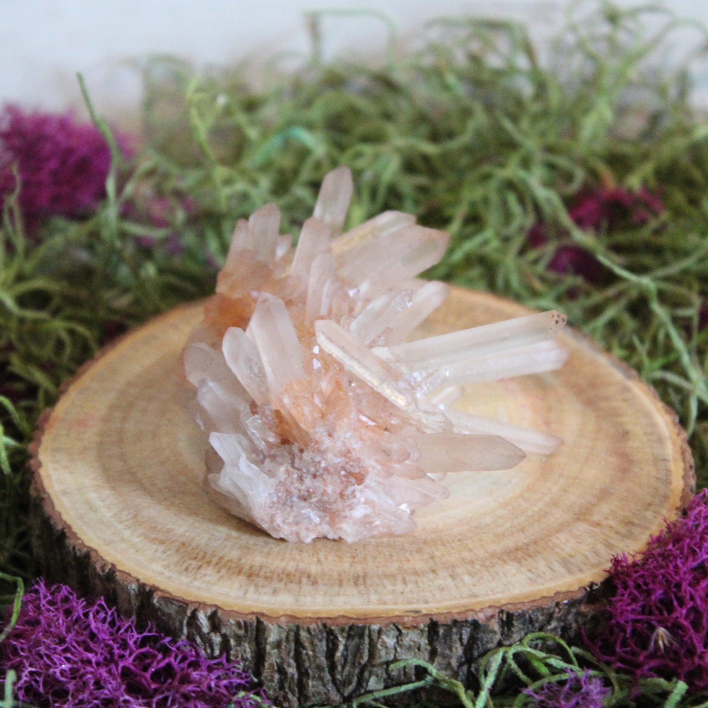 Needle Point Quartz Cluster