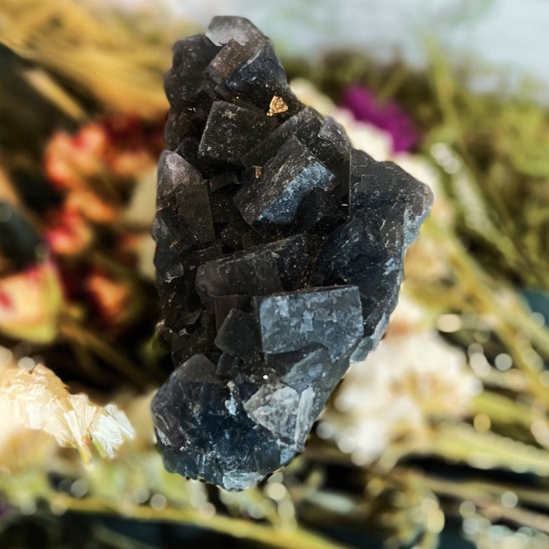 Blue Fluorite