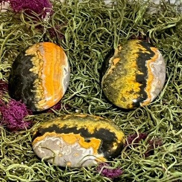 Large Bumblebee Jasper Palm Stone