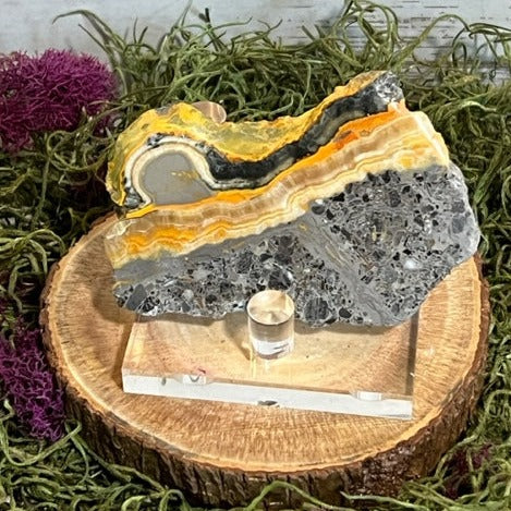 Bumblebee Jasper Slab