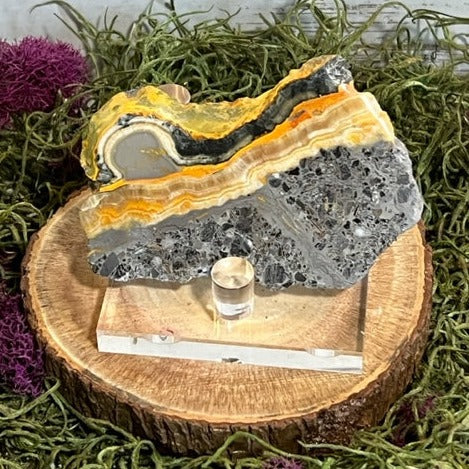 Bumblebee Jasper Slab