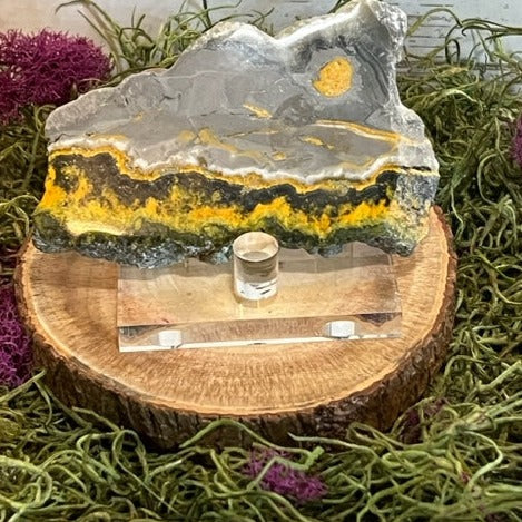 Bumblebee Jasper Slab