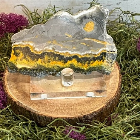 Bumblebee Jasper Slab