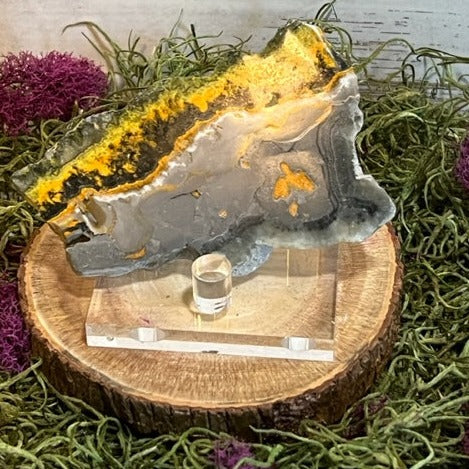 Bumblebee Jasper Slab