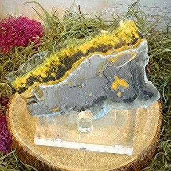 Bumblebee Jasper Slab