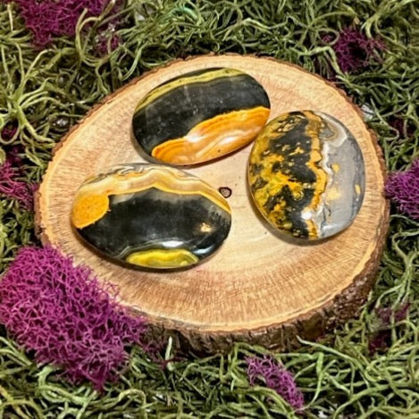 Small Bumblebee Jasper Palm Stone