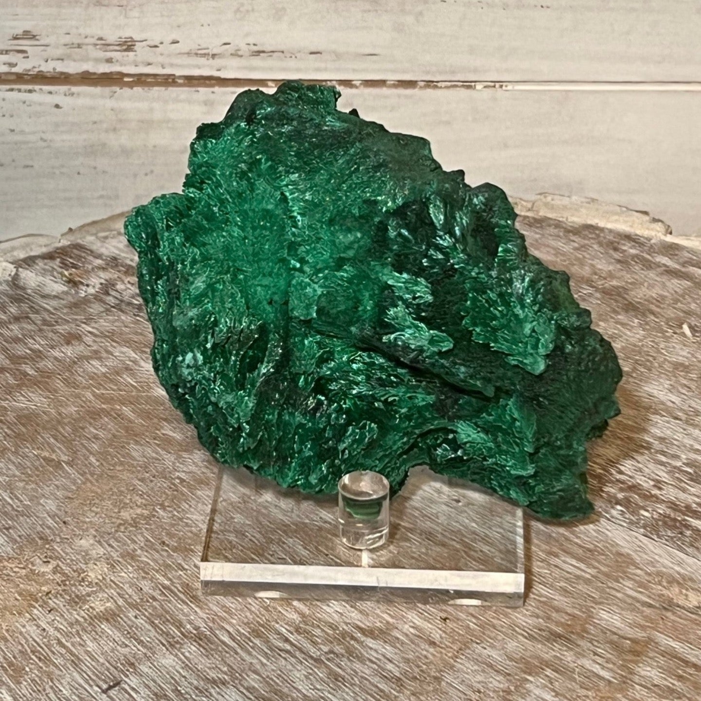 Velvet Malachite