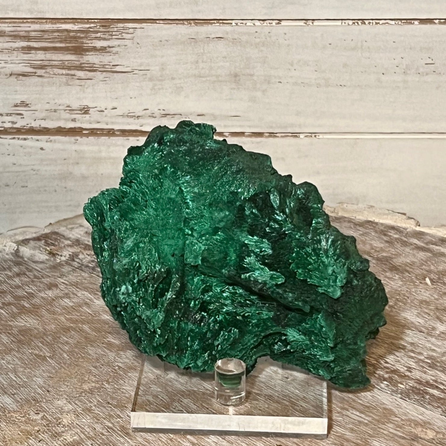 Velvet Malachite