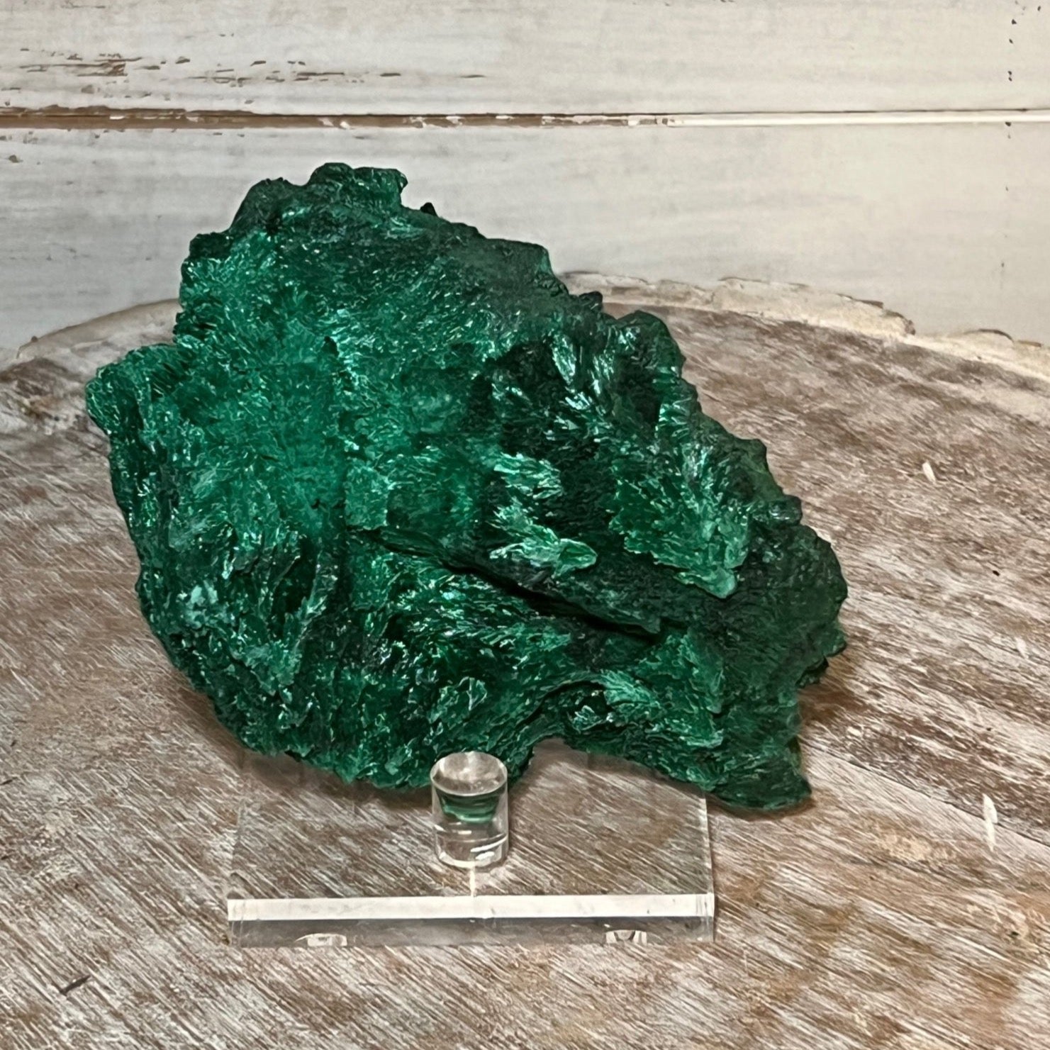 Velvet Malachite