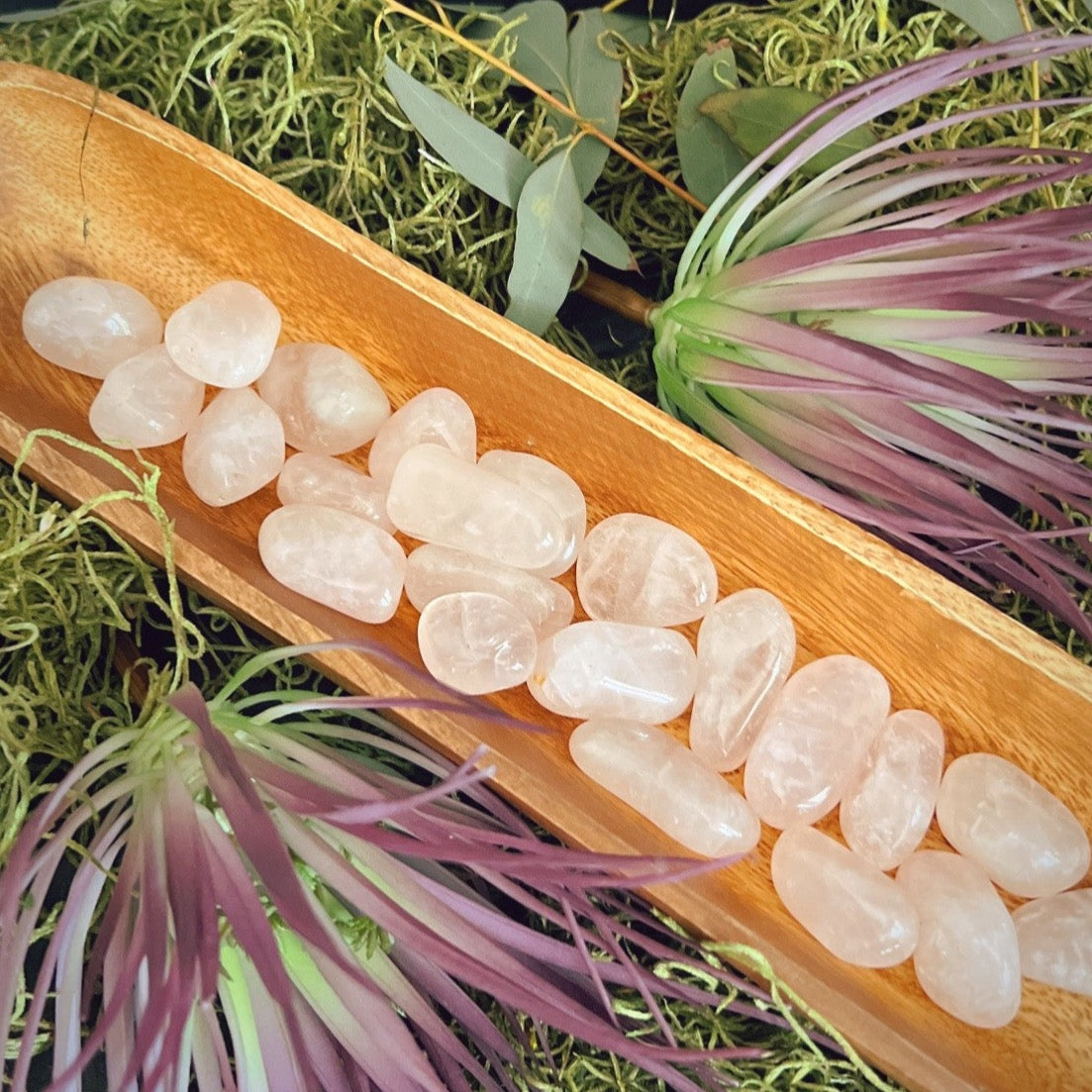 Medium Rose Quartz Tumbled Stone