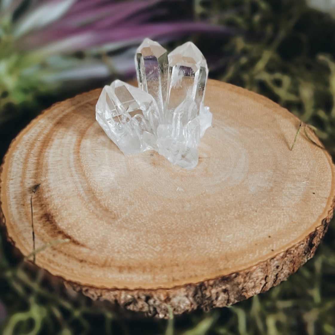 Small Crystal Clear Quartz Cluster