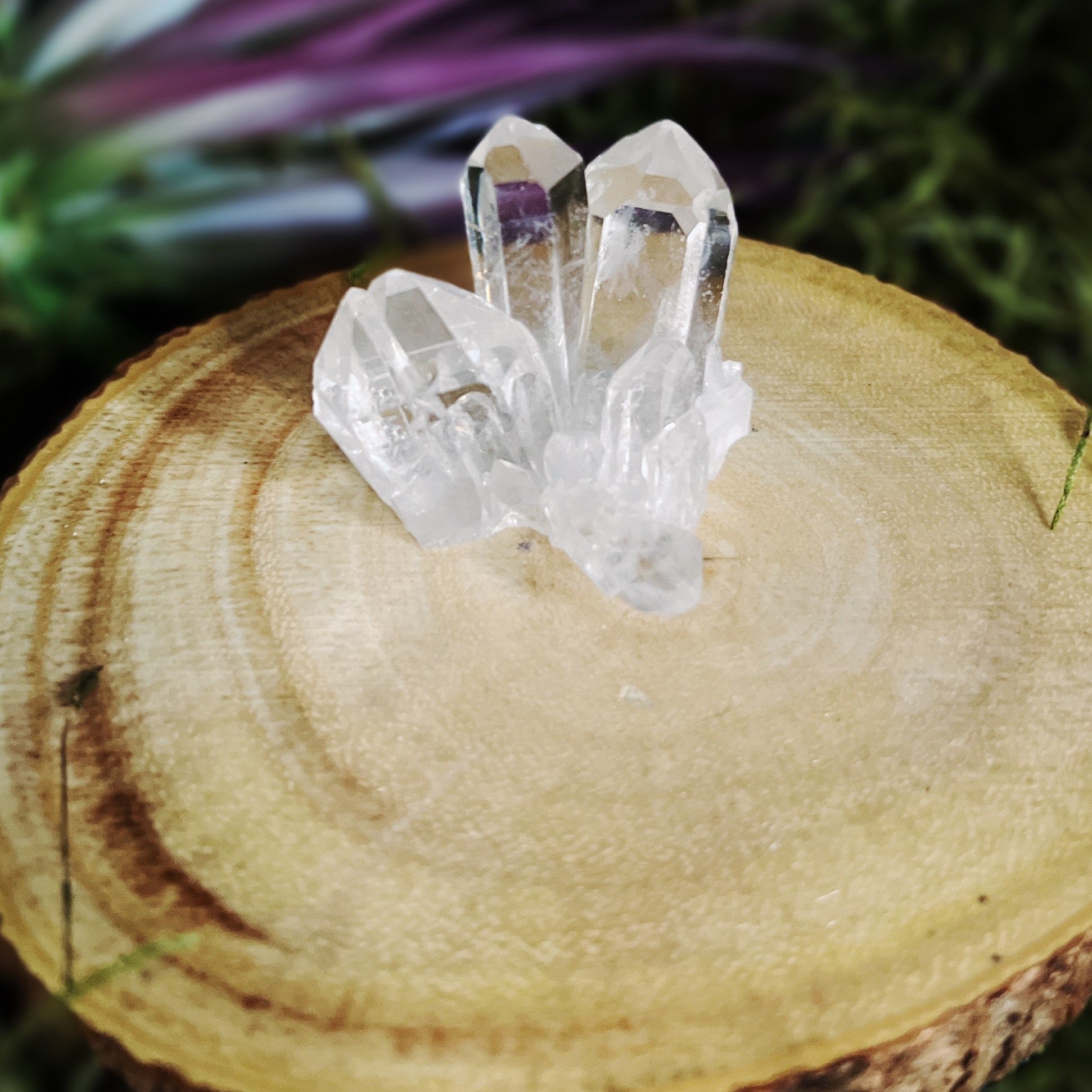 Small Crystal Clear Quartz Cluster