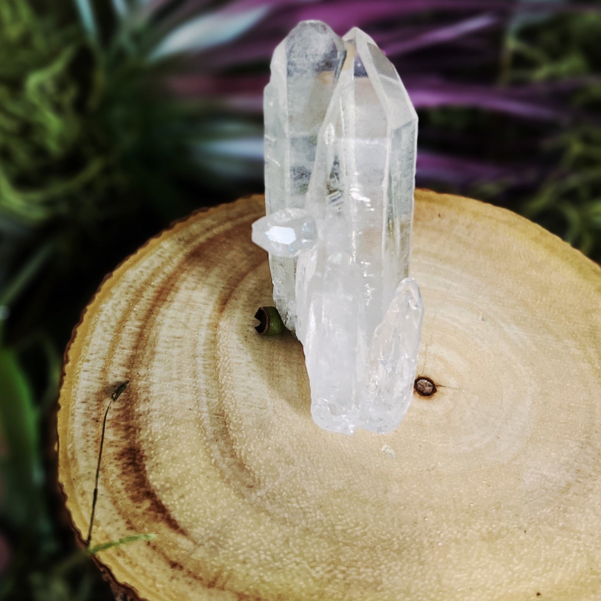 Small Clear Quartz Twin Cluster With Bridge