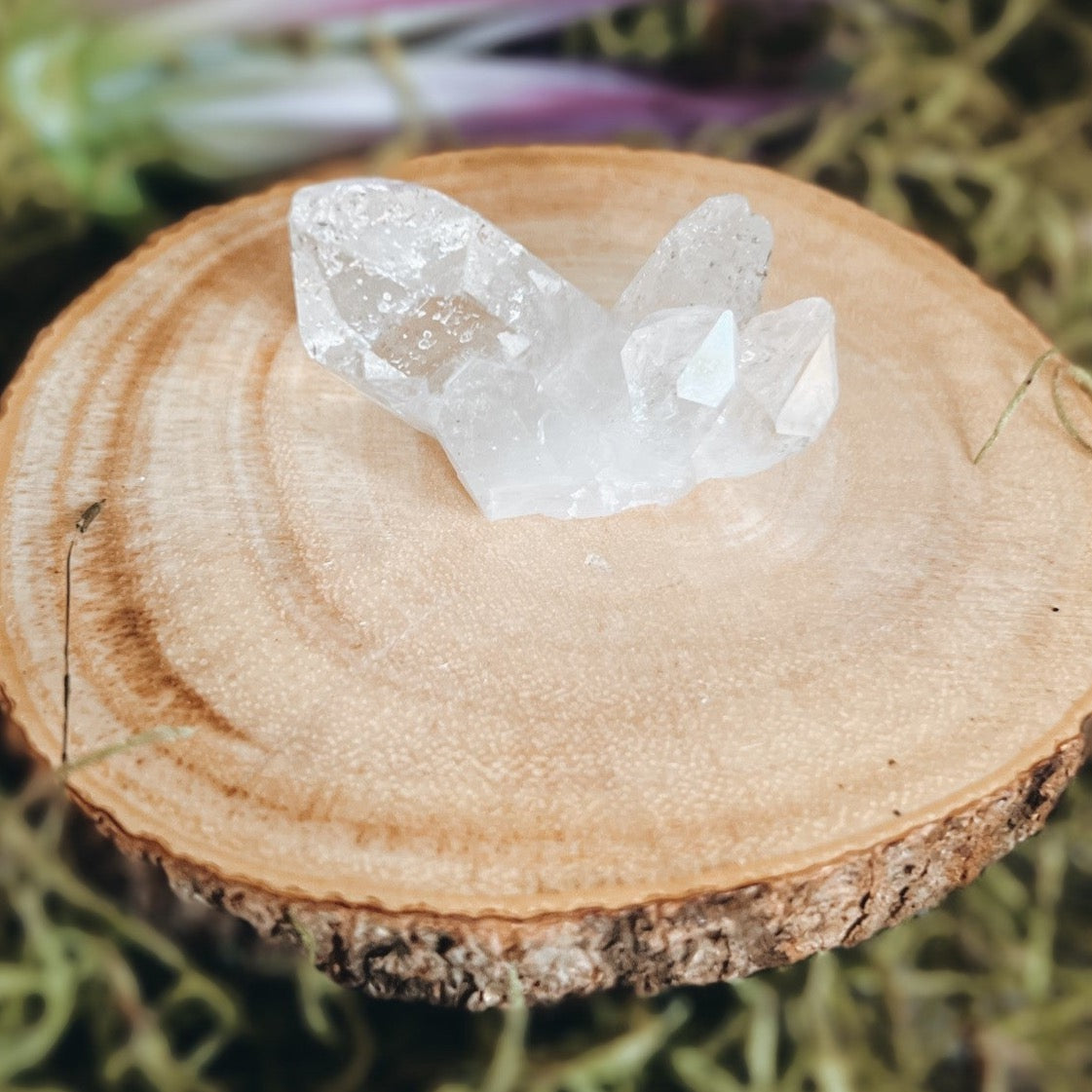 Small Clear Quartz Cluster